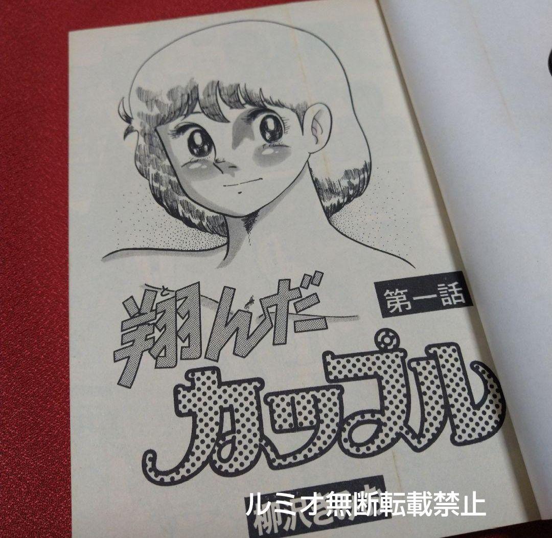 翔んだカップル【昭和当時全巻セット】柳沢きみお