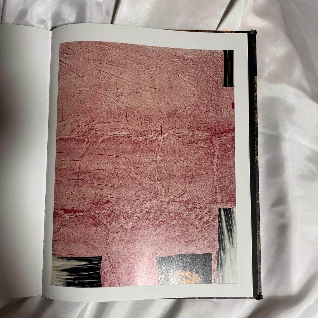 STERLING RUBY paris 作品集