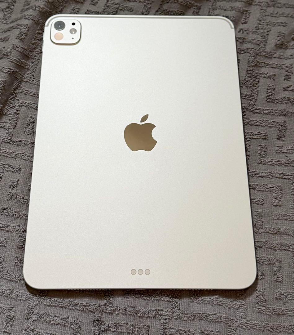 iPadPro M5 WiFiモデル 256G