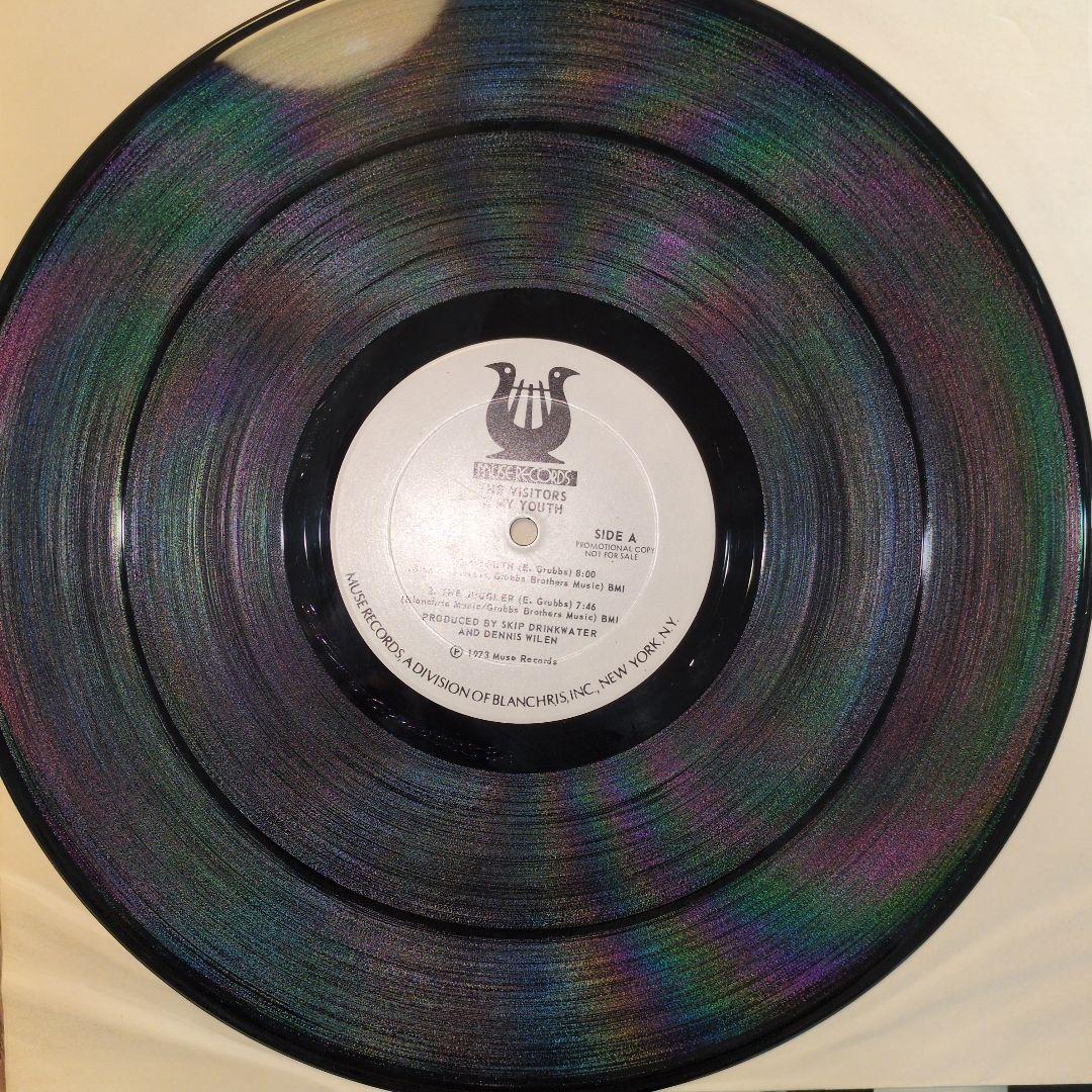洋楽 The Visitors / In My Youth LP