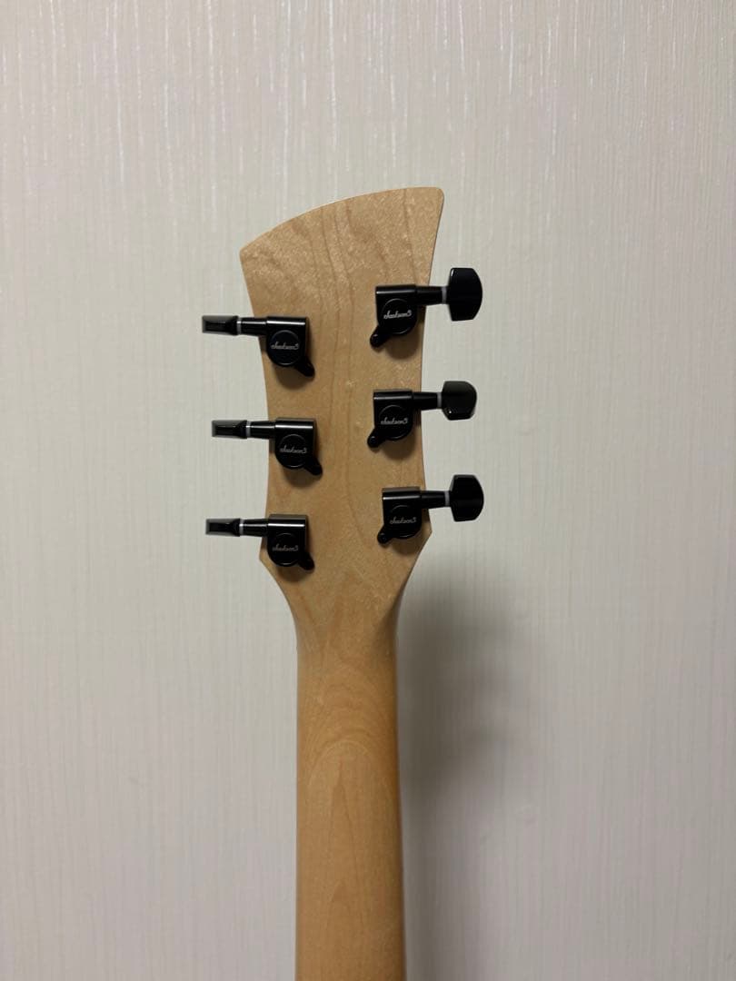 値下げ‼︎Jackson サーフキャスターEMG GTV