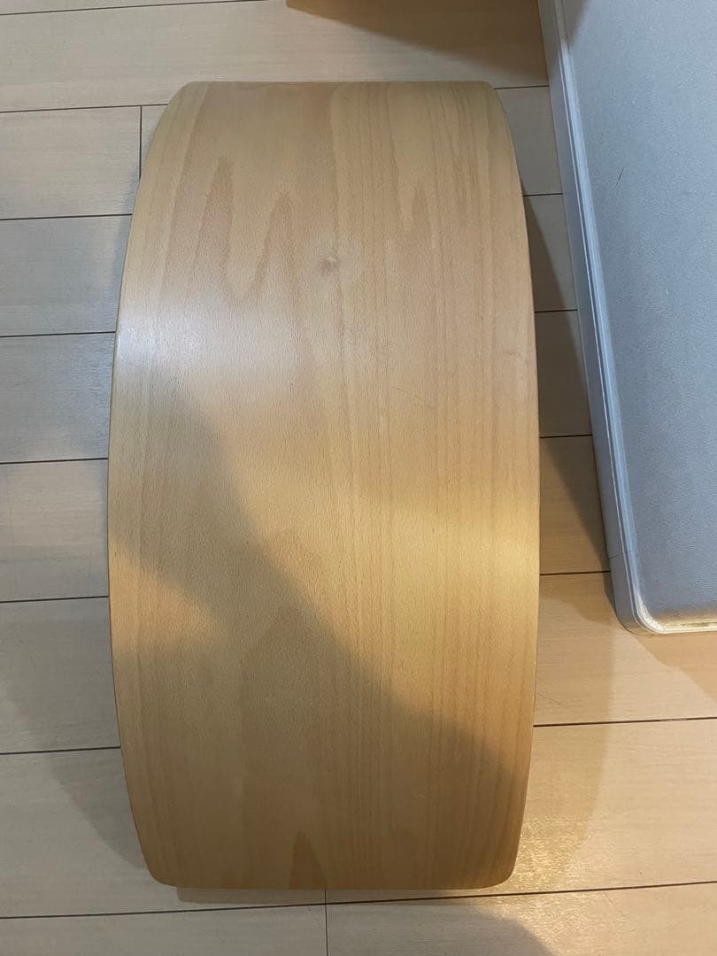 【美品】MIZUNO バランスバウム BALANCEBAUM バランスボード
