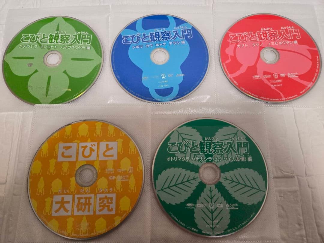 こびと観察入門　こびと大研究　DVD　全10巻セット