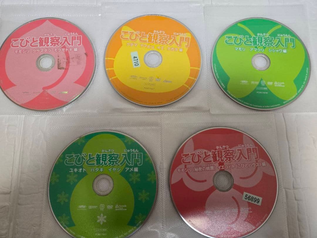 こびと観察入門　こびと大研究　DVD　全10巻セット