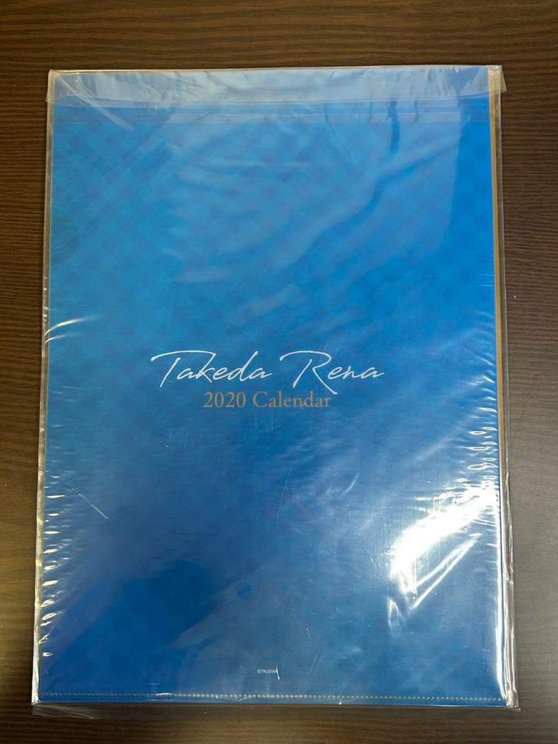 武田玲奈 2020カレンダー 壁掛け クリアファイル 生写真20枚 新品未使用