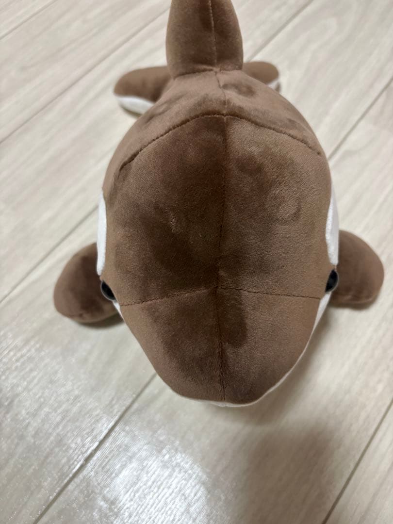 M*様 須磨シーワールド　シャチくじ　3等　バレンタイン