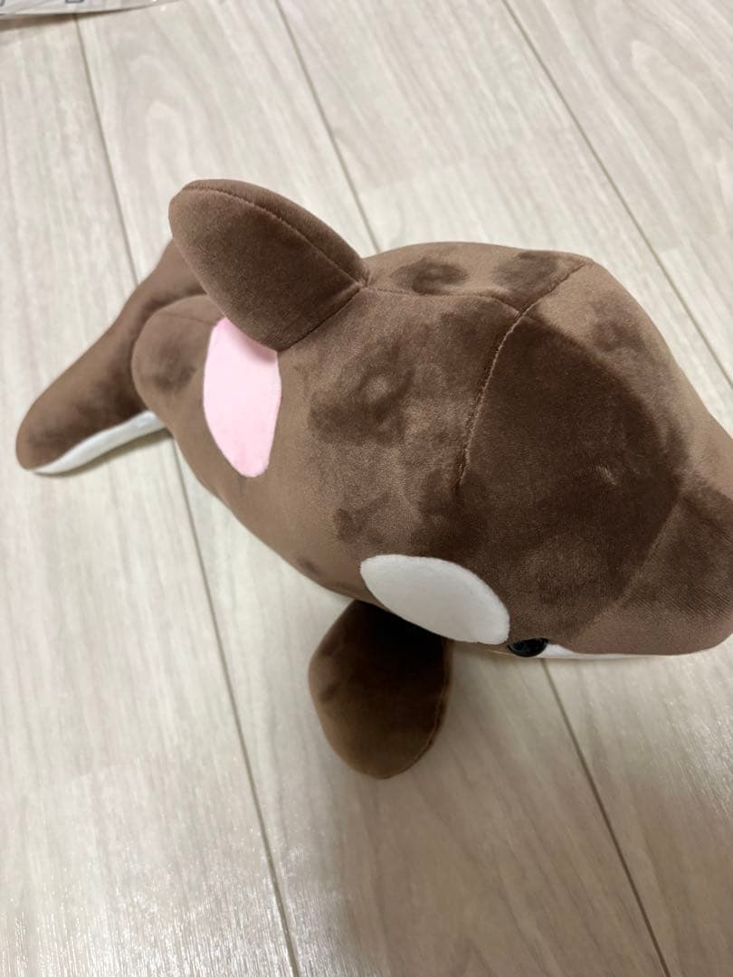 M*様 須磨シーワールド　シャチくじ　3等　バレンタイン