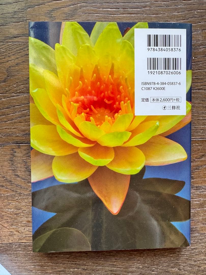 タイ語 学習セット　任天堂廃盤DS 貴重なタイの小学校の教科書付き