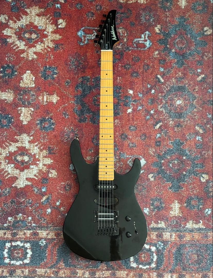 Washburn エレキギター SSHタイプ