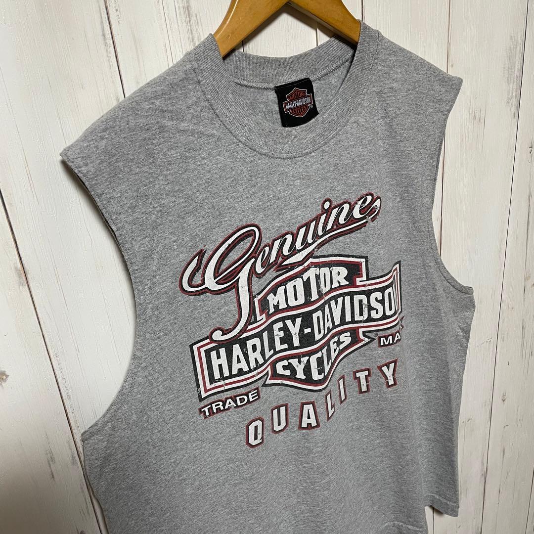 ハーレーダビッドソン ビッグロゴ バイク フォト ノースリーブ Tシャツ L