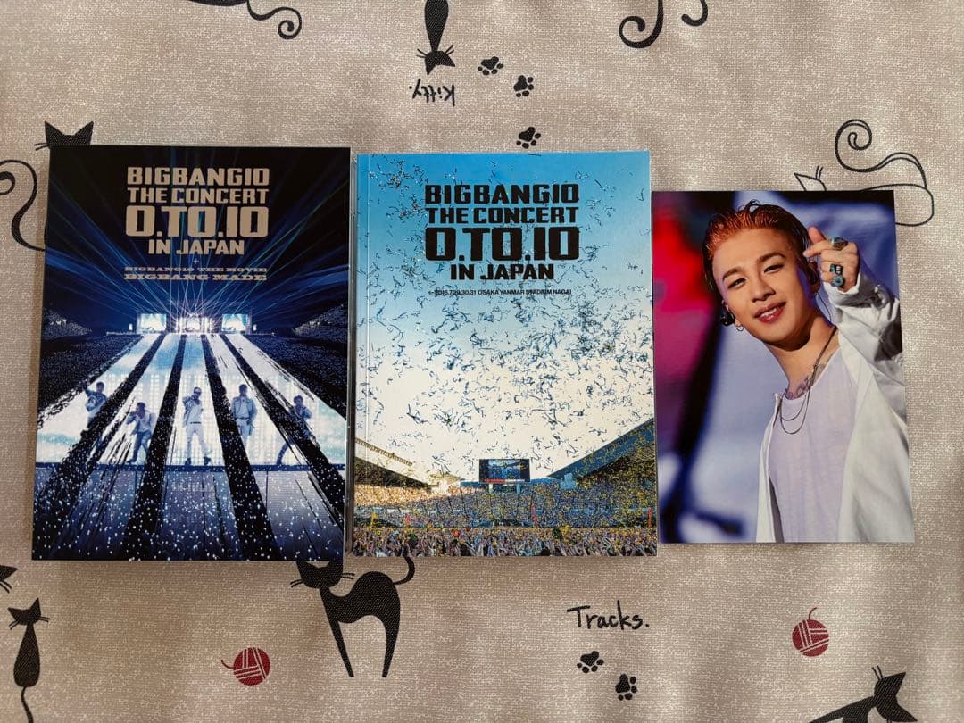 ミュージック BIGBANG THE CONCERT:0.TO.10 in JAPAN