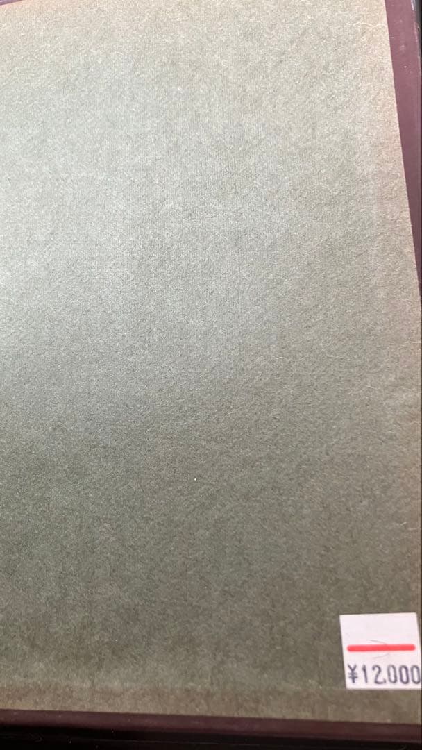 メ5361 書籍「Danmark i Fest og Glæde」