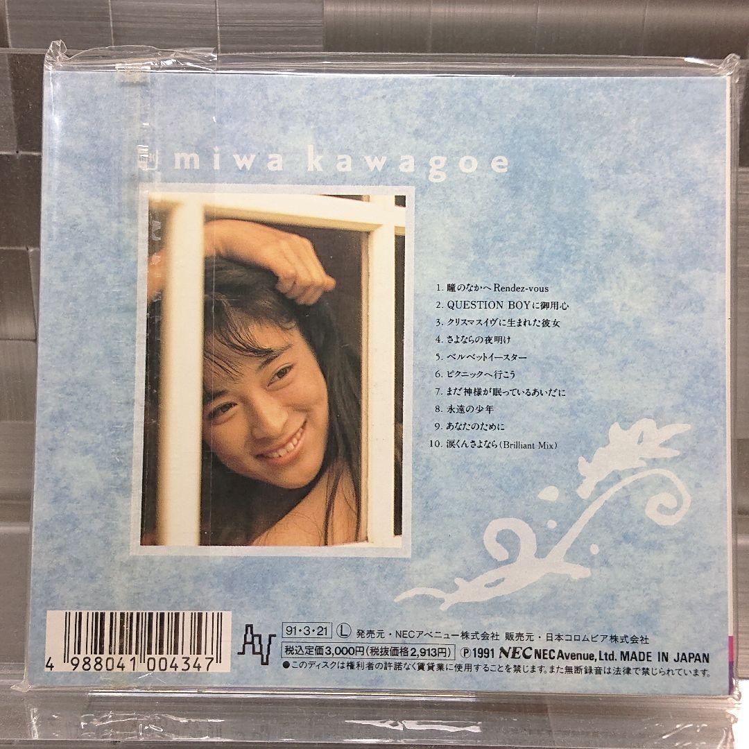 川越美和『～1991～まだ神様が眠っているあいだに』