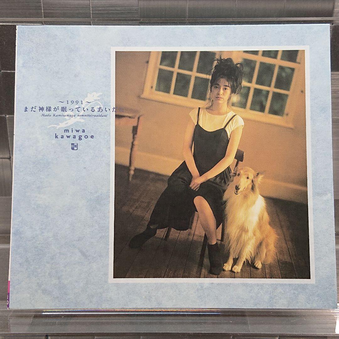 川越美和『～1991～まだ神様が眠っているあいだに』