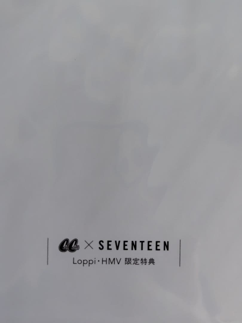 SEVENTEEN ウォヌ CanCam 限定特典 フォトカード
