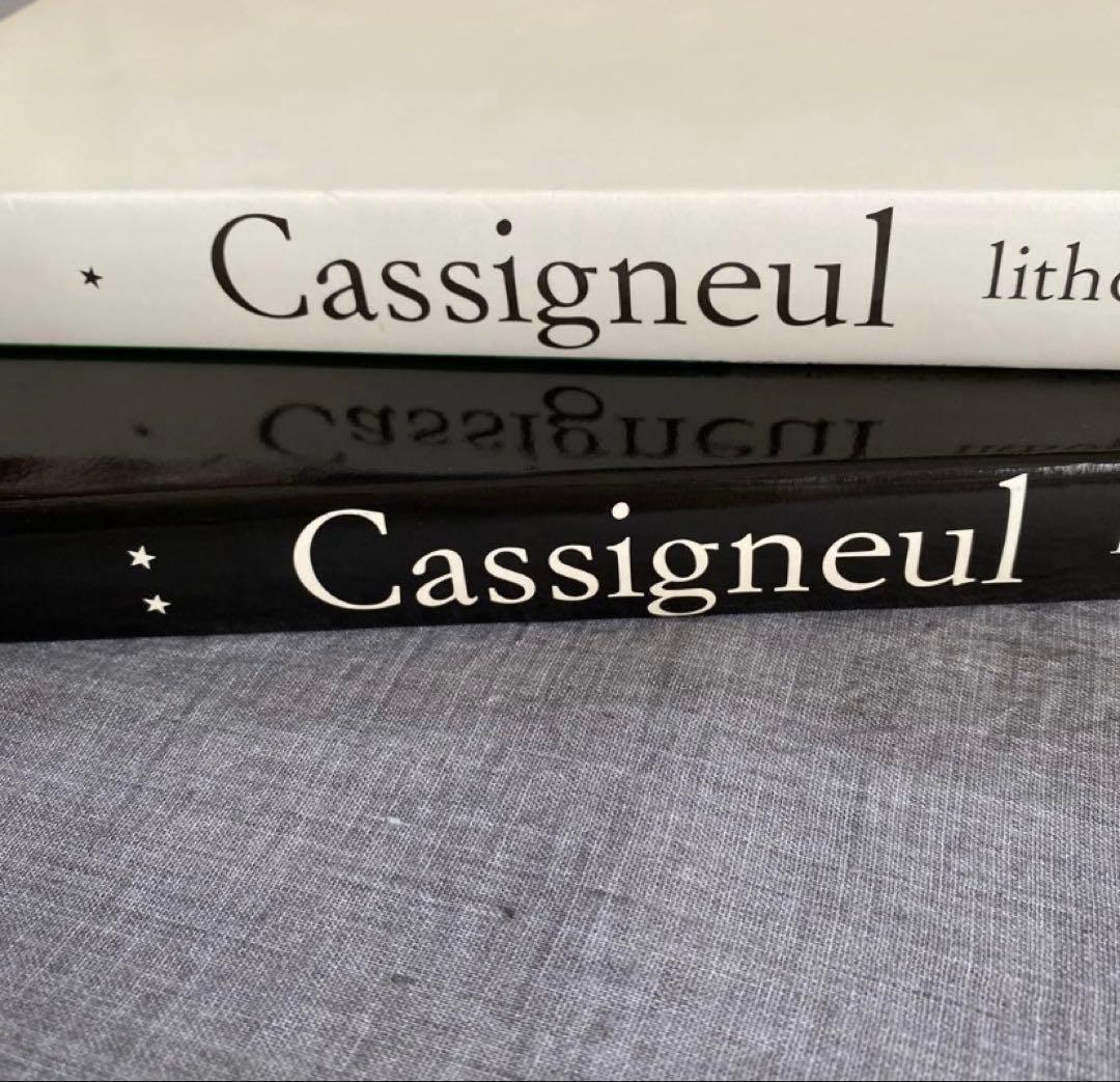 【Cassigneul】最終値下げ　カシニョール　アート　画集　2冊セット