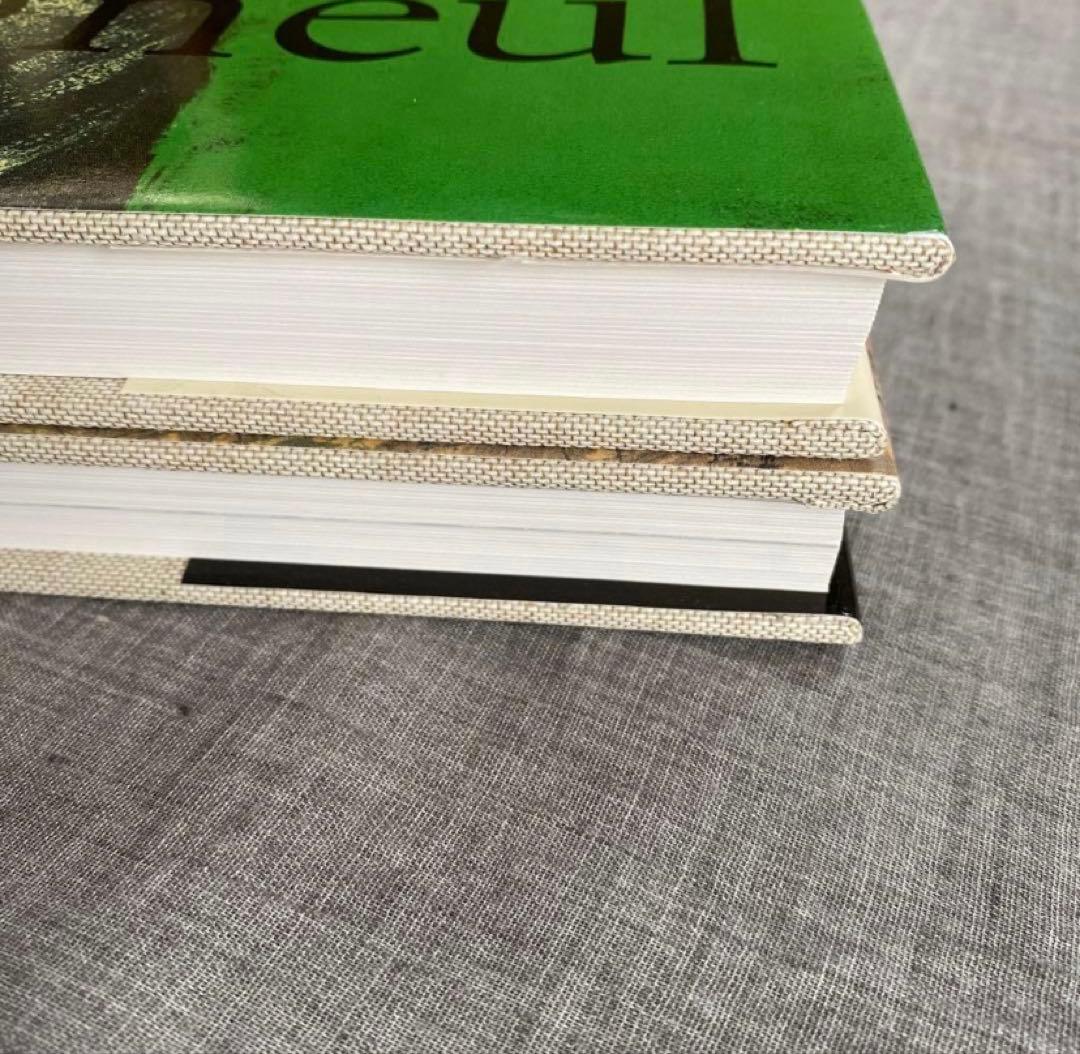 【Cassigneul】最終値下げ　カシニョール　アート　画集　2冊セット