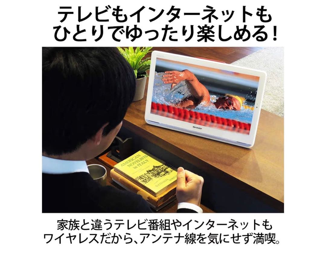 SHARP AQUOS 2T-C12AP 防水&ワイヤレス　ポータブル　テレビ
