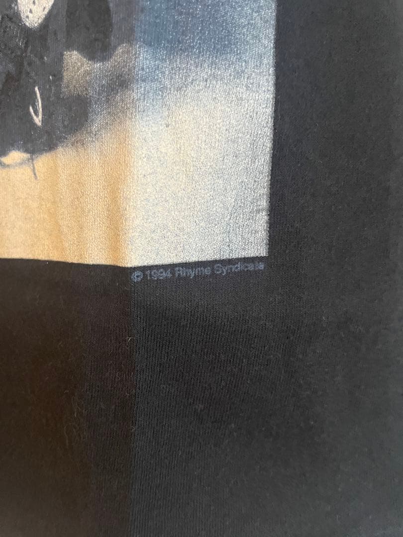 レア ヴィンデージ BODY COUNT Tシャツ 1994年 バンド 古着