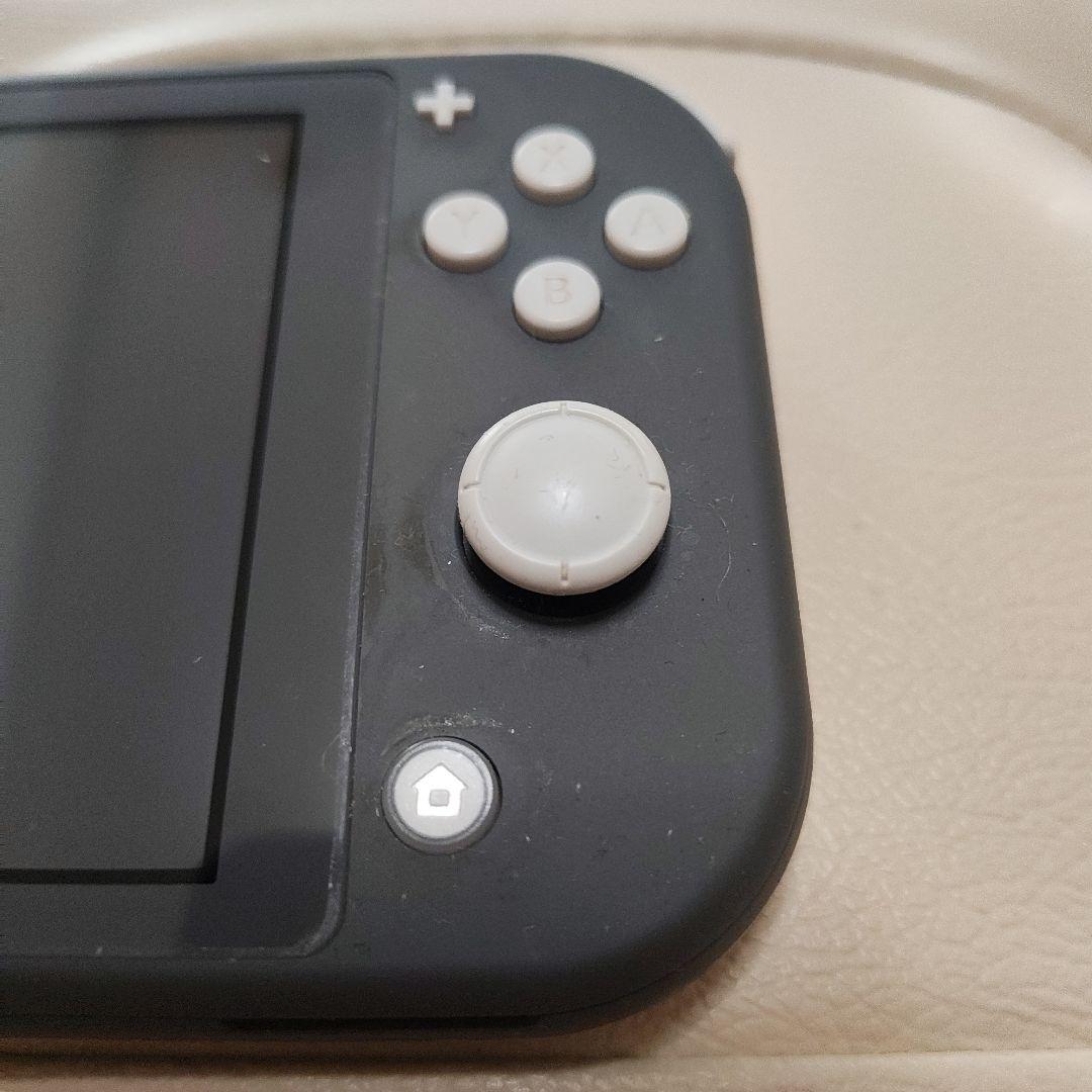 R*G様 ジャンク　Nintendo Switch Lite グレー 本体