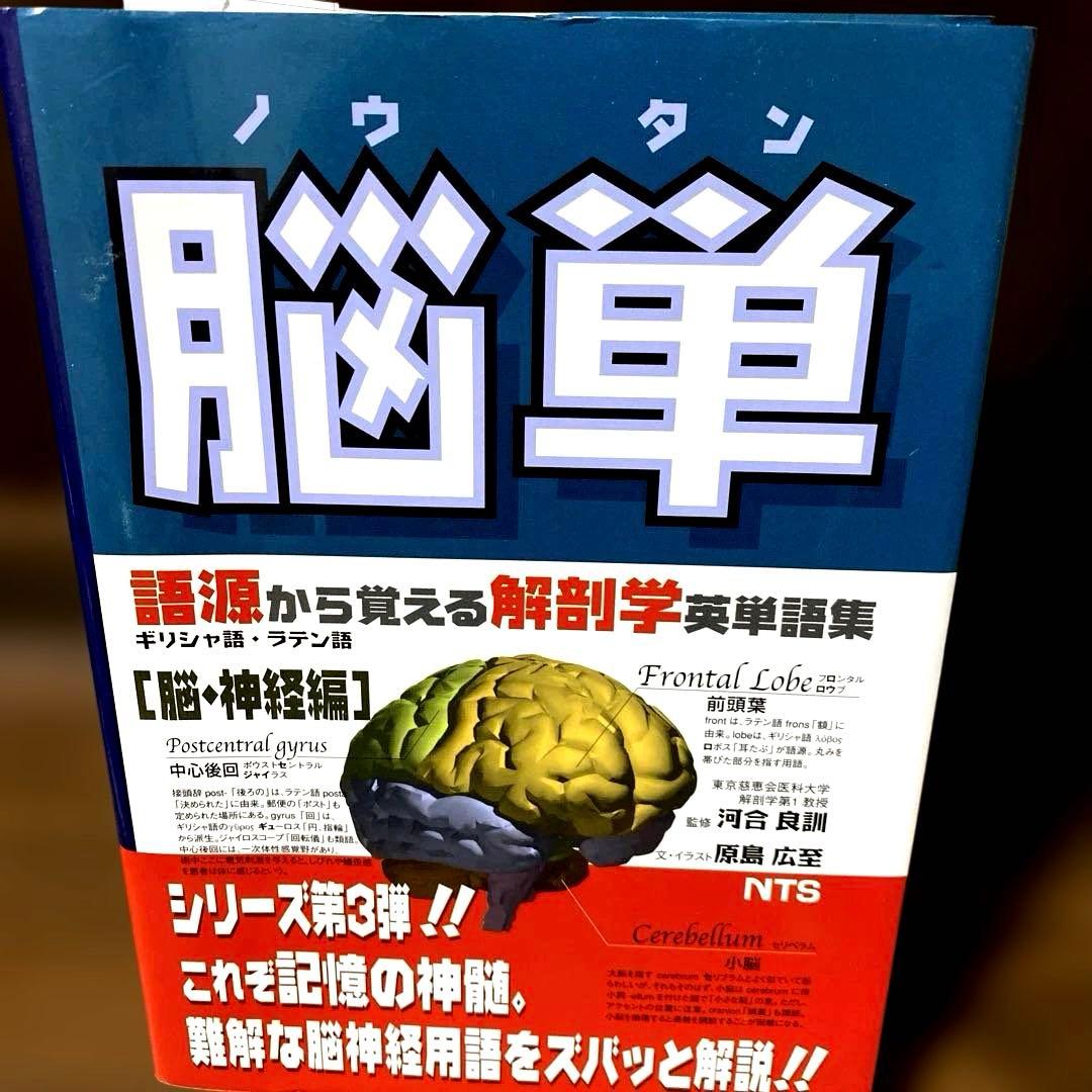 解剖学単語シリーズ 4冊セット　 肉単　骨単　臓単　脳単