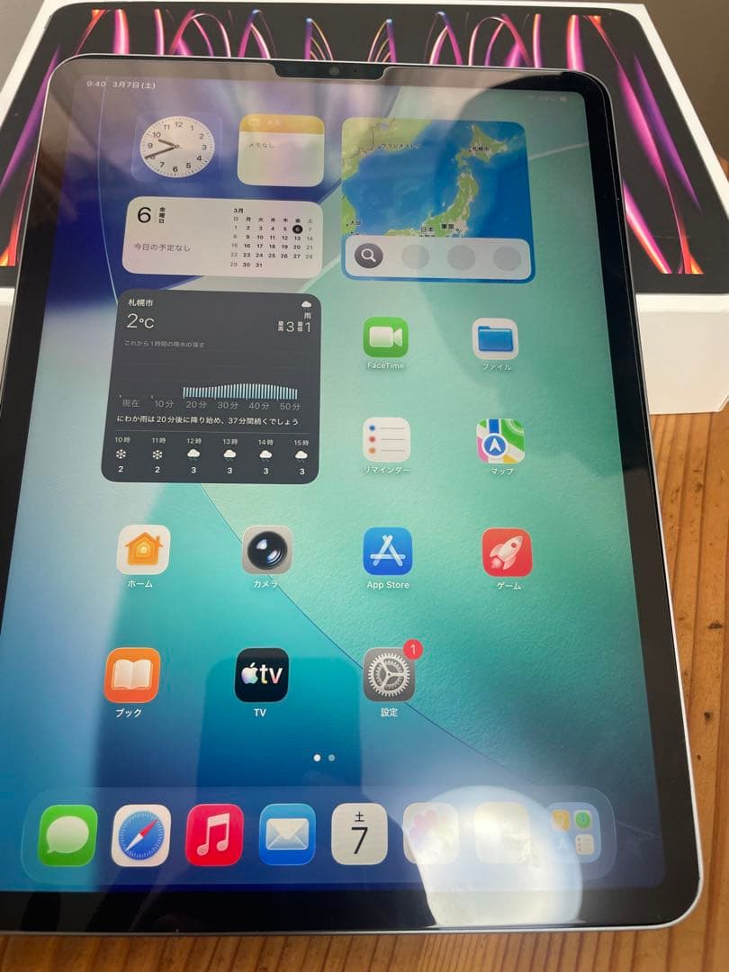 Apple iPad Pro 第４世代 256GB wifi