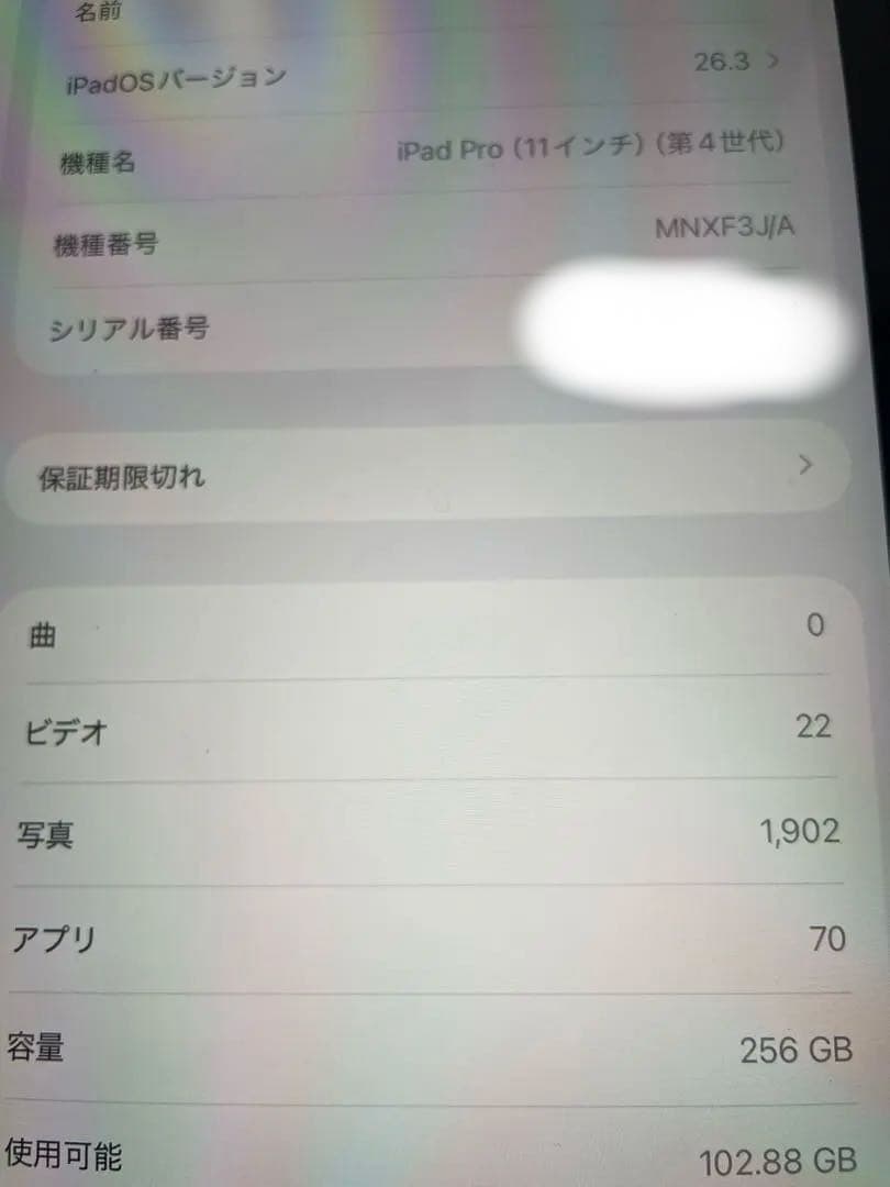 Apple iPad Pro 第４世代 256GB wifi