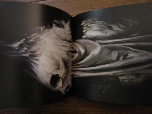 SKULLED UP ART BOOK　Shane Pierce