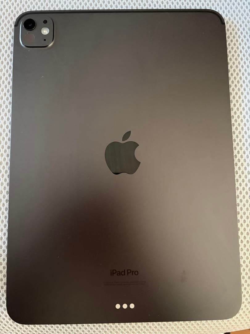2024 M4 iPad Pro 11インチ 256GB Wifi