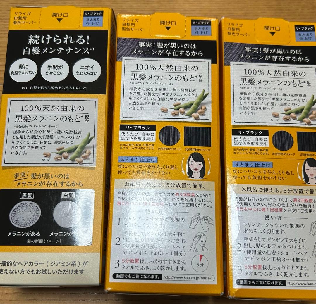 即日発送　ブローネ　リライズ　白髪用髪色サーバー　まとまり仕上げ✕3