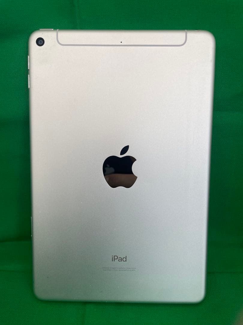 【E】iPad mini 第5世代 256GB シルバー 判定【ー】