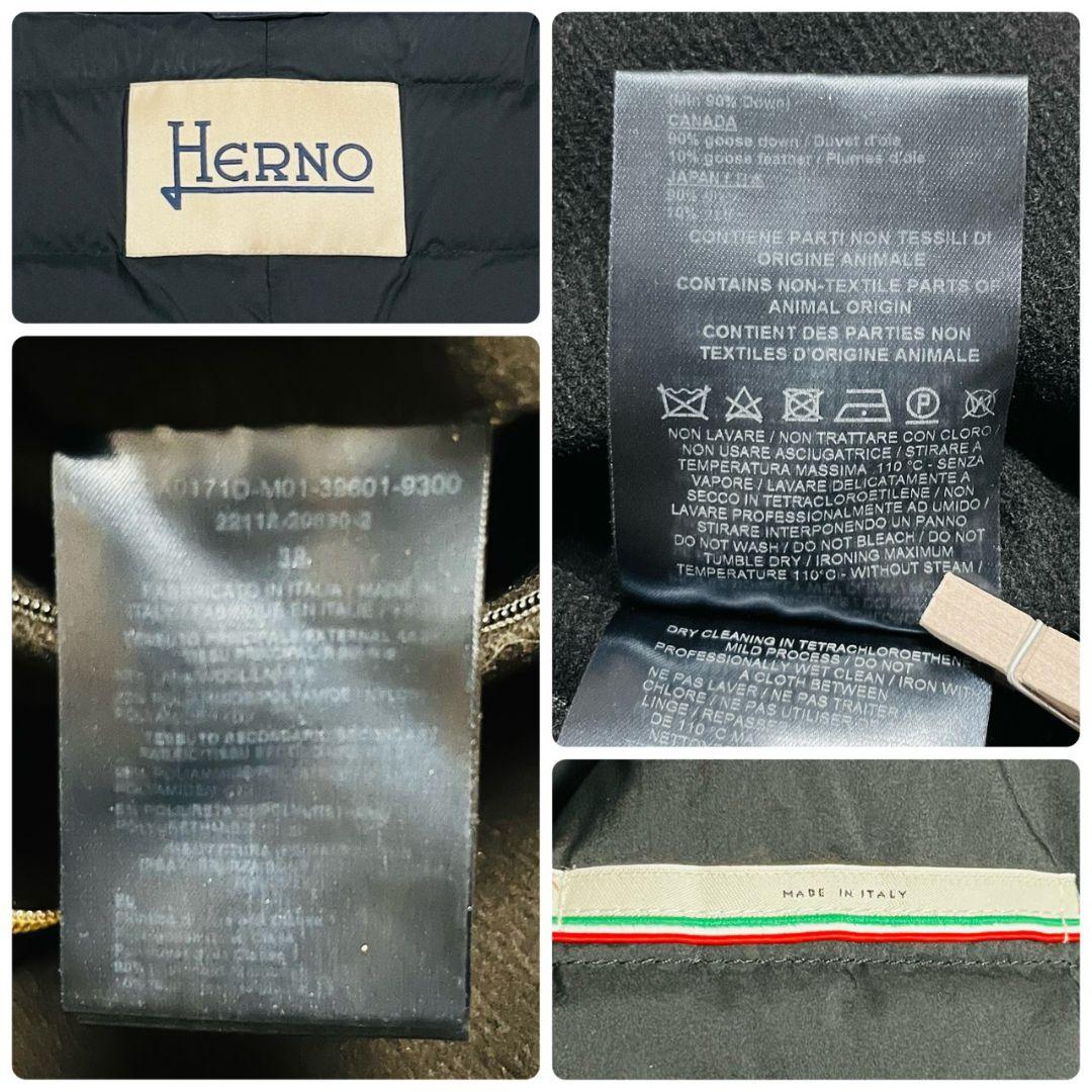 定価20万　HERNO ヘルノ エストネーション　異素材　ロングダウンコート
