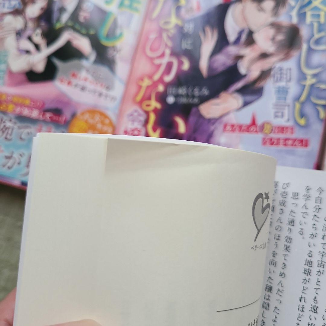 お飾り側妃になりましたが、ヒマなので王宮内でこっそり働きます!～なのに、いつの…