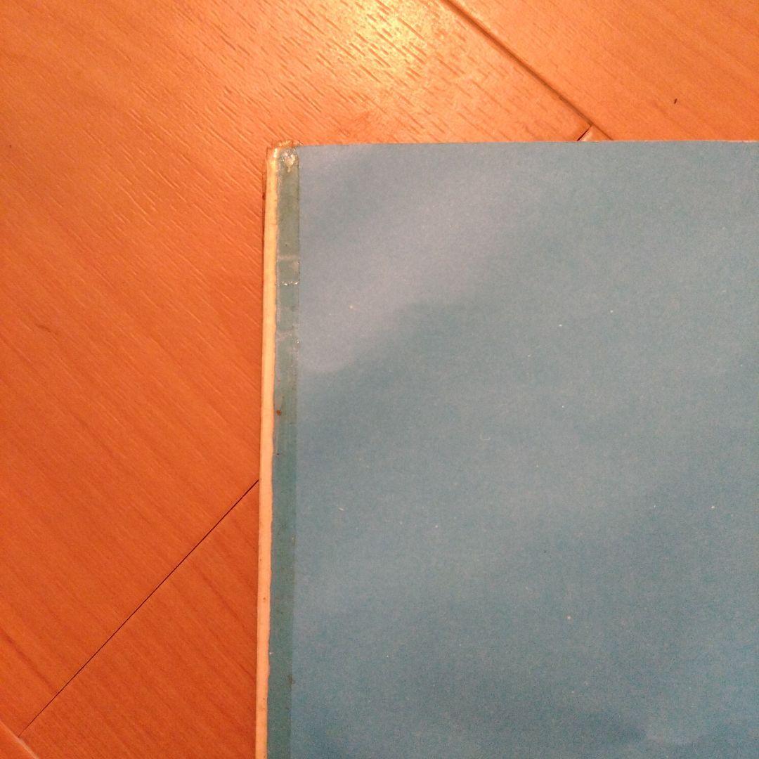 THE BLUE HEARTS ブルーハーツ レコード