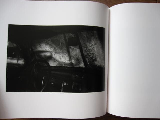 SOME SAY ICE　Alessandra Sanguinetti