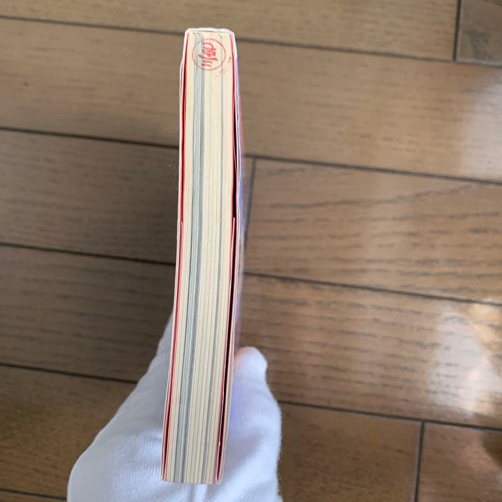 【配送無料】シャピオ「背中合わせのアキラ」田中正悟