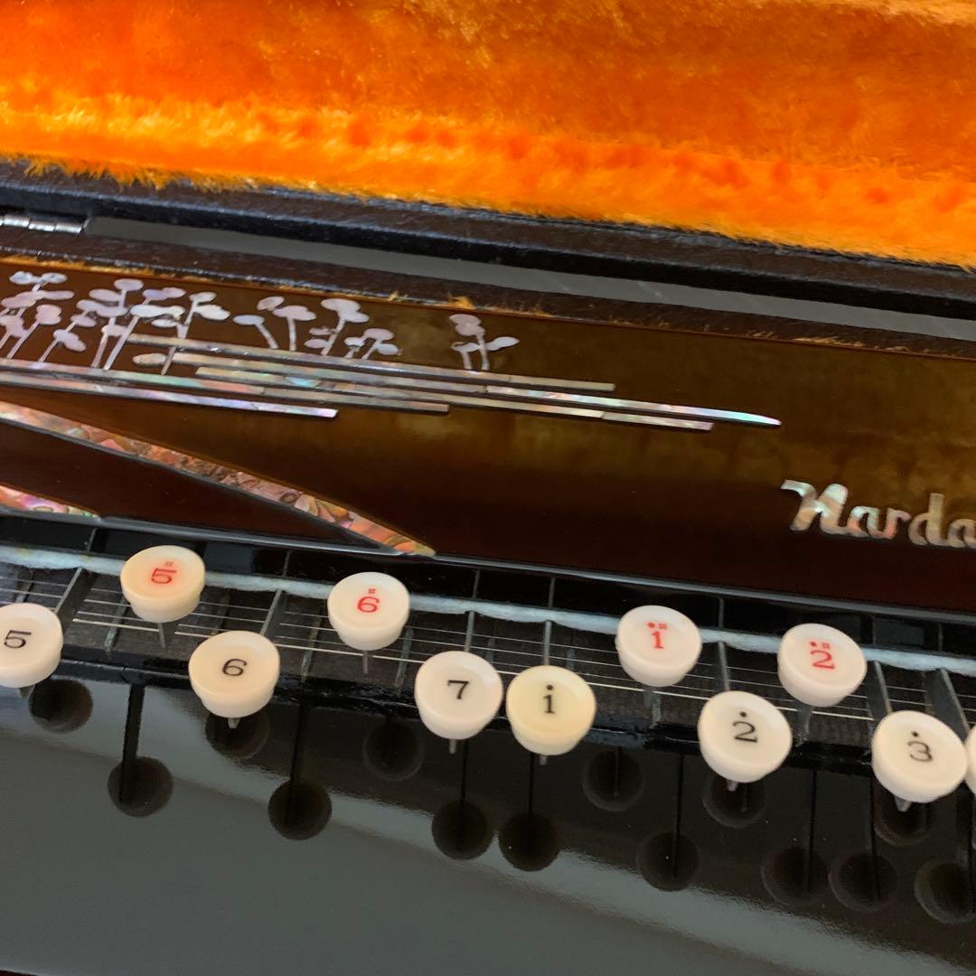 大正琴　NAGOYA HARP レトロ　希少柄