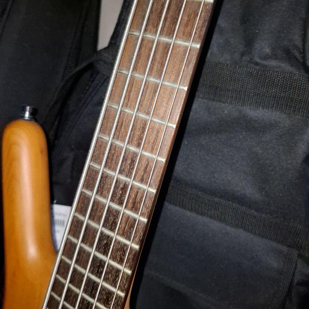 Warwick RockBass Corvette 5弦 エレキベース