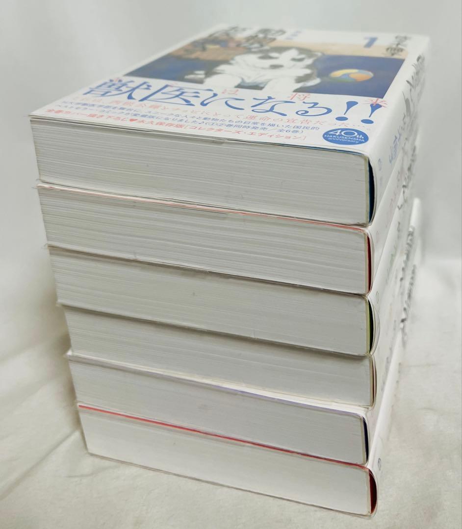 【3/14まで】全巻帯付き・比較的美品✨ 動物のお医者さん 愛蔵版 全6冊セット