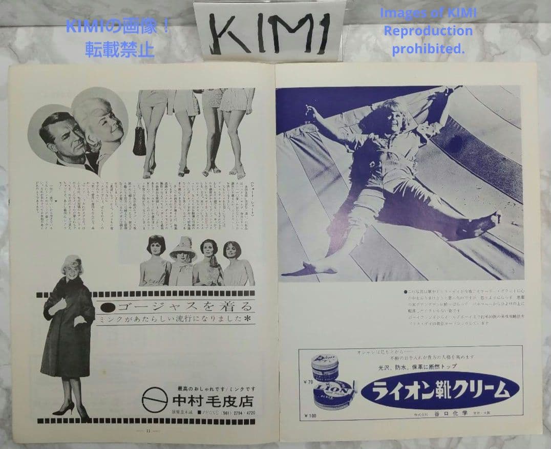 レア 映画パンフレット ミンクの手ざわり That Touch of Mink