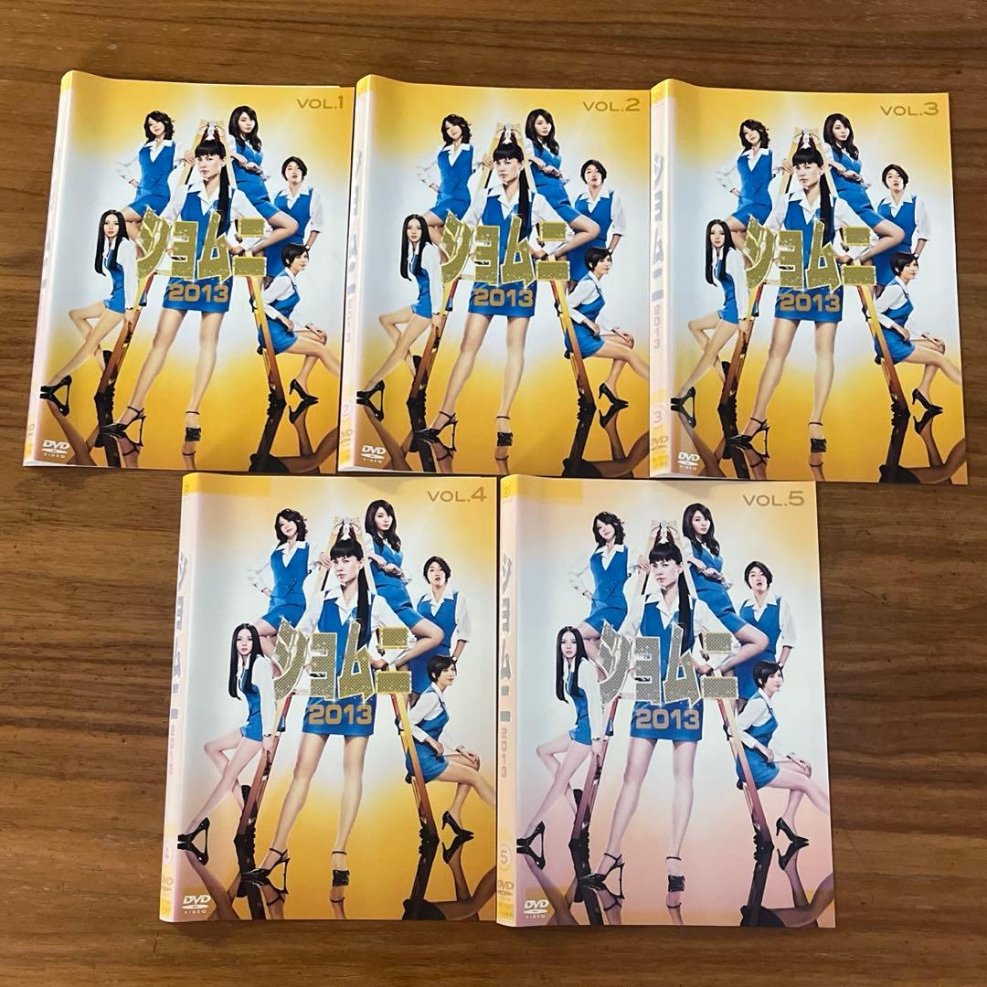 ショムニ2013 DVD 全5巻　全巻セット