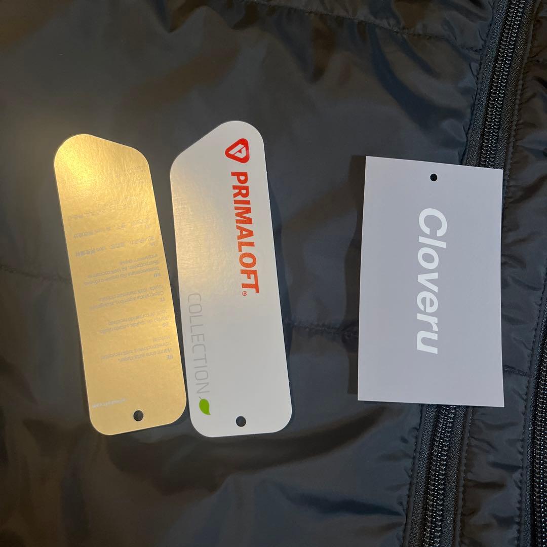 cloveru アノラックベスト クローバル moat patagonia