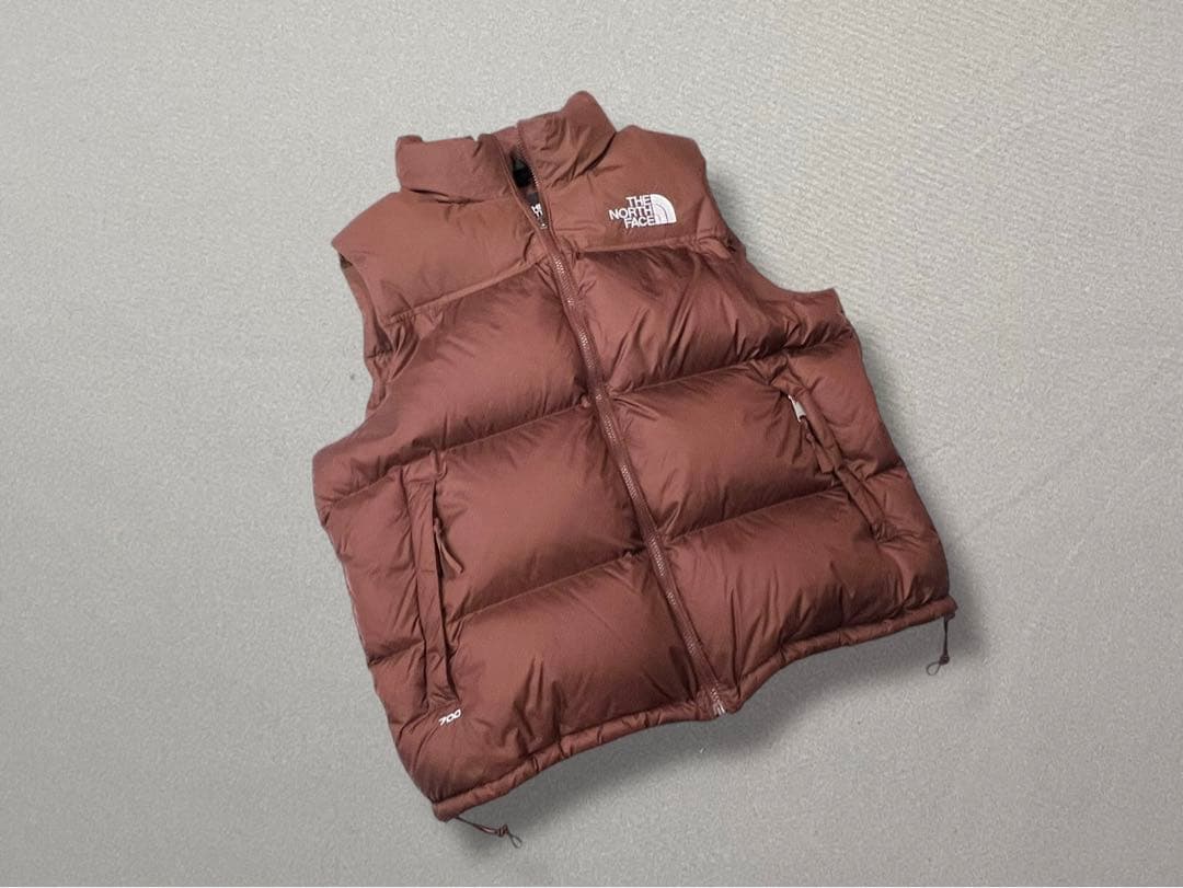 美品US企画【THE NORTH FACE】ヌプシダウンベス700 ブラウンXL