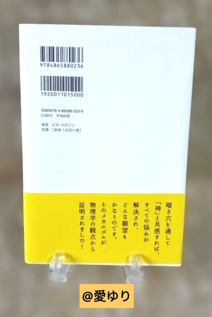 【激レア絶版】保江邦夫✨DVD＆書籍セット『神様の覗き穴』⭐冠光寺流柔術引退記念