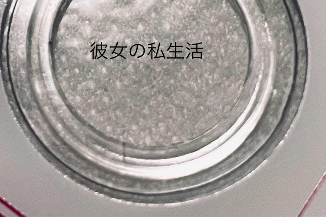 彼女の私生活　日本版　【全16巻】　レンタル版DVD 全巻セット　韓国ドラマ