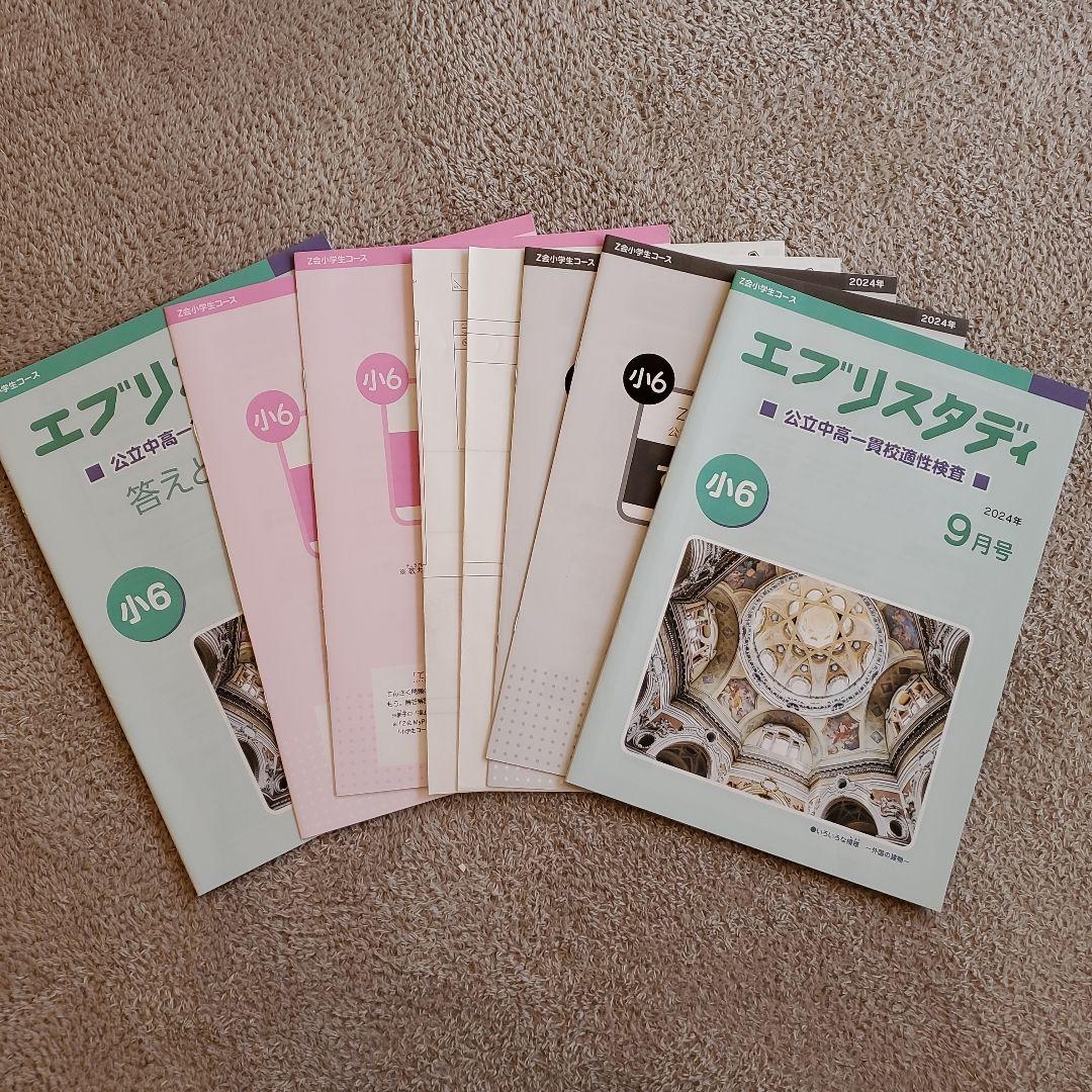 公立中高一貫校 適性検査対策 小6 エブリスタディ Z会