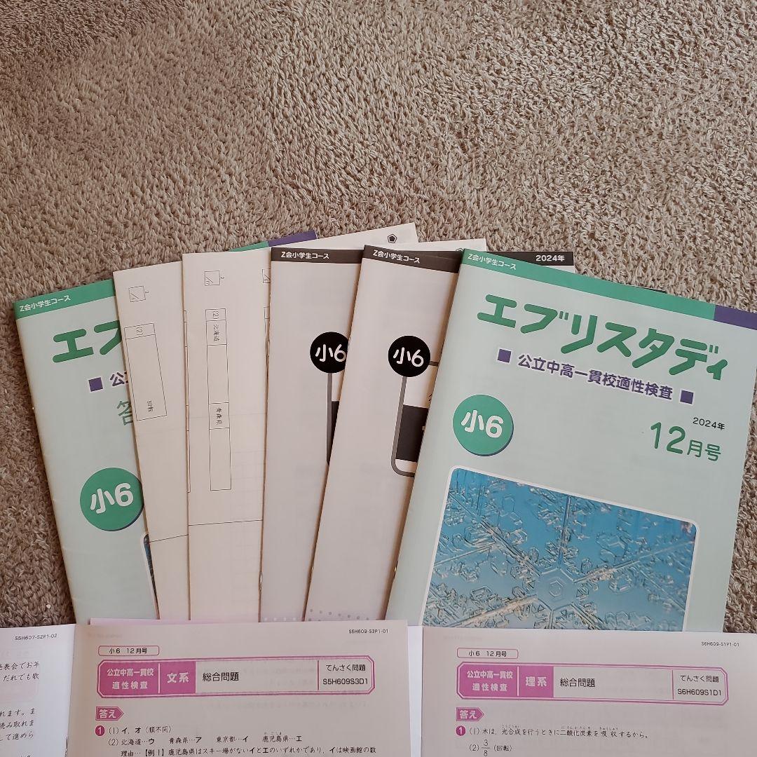 公立中高一貫校 適性検査対策 小6 エブリスタディ Z会