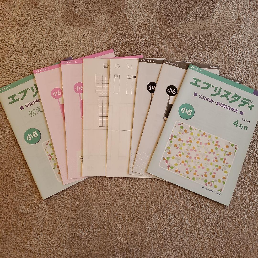 公立中高一貫校 適性検査対策 小6 エブリスタディ Z会
