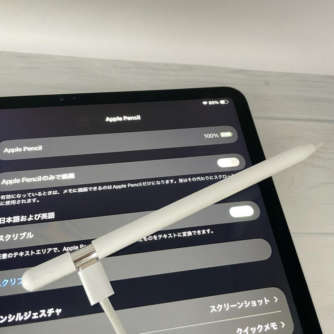 動作確認済み！【美品】Apple Pencil USB-Cタイプ 替え芯セット