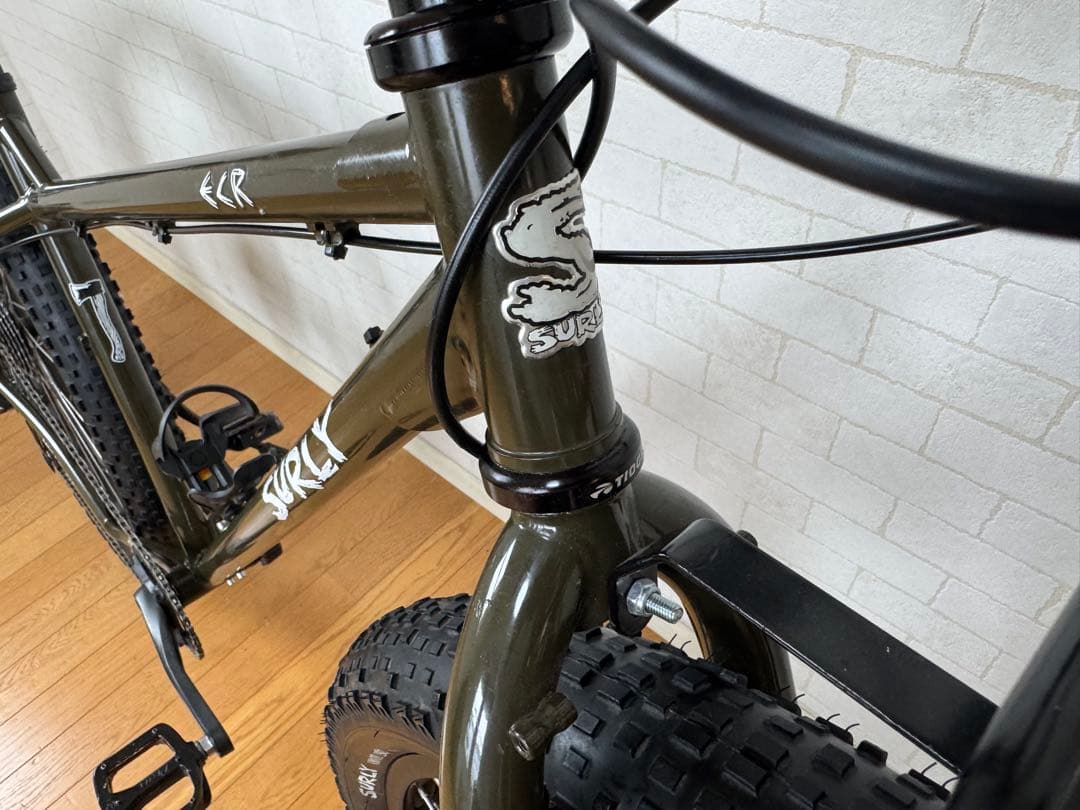 【TESTOSTERONE$$】Surly ECR 29 マウンテンバイク